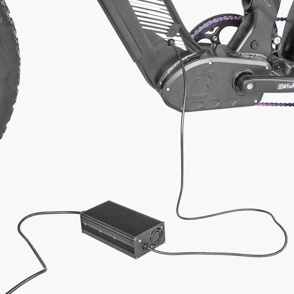 Cargador rápido 52V 5A para Ovia & Ranger 1.0 & 2.0 & Trax