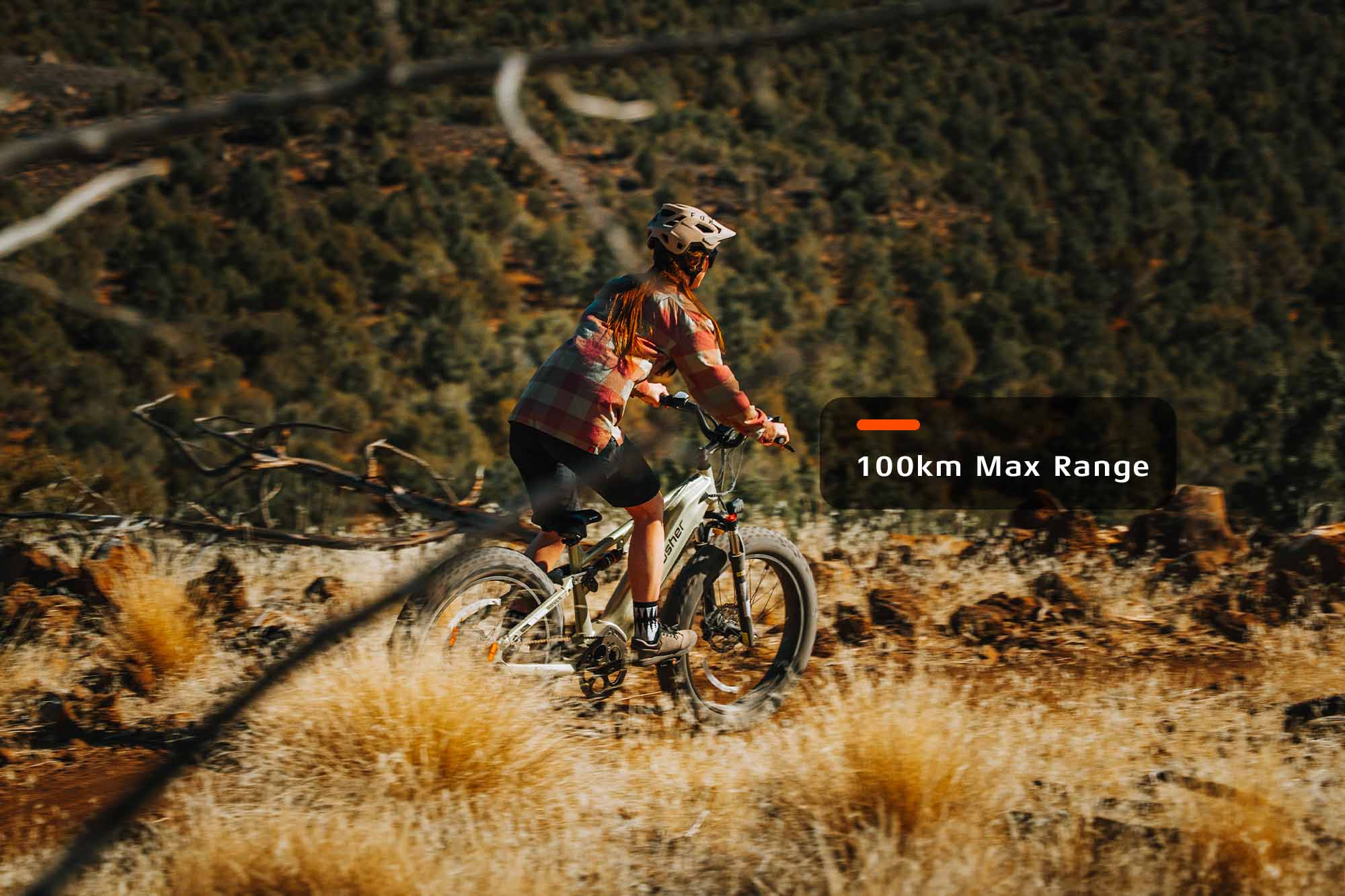 Rover Bicicleta electrica Todoterreno