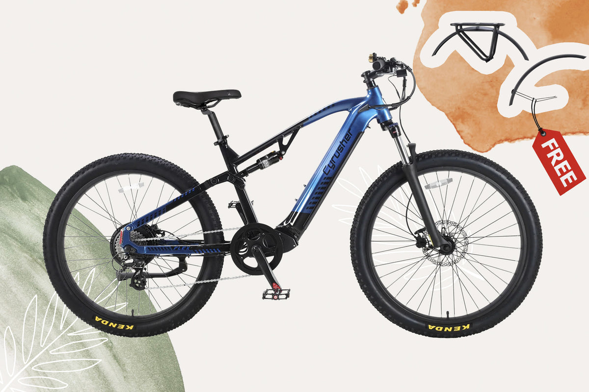 Flex + Free Fenders & Rear Rack