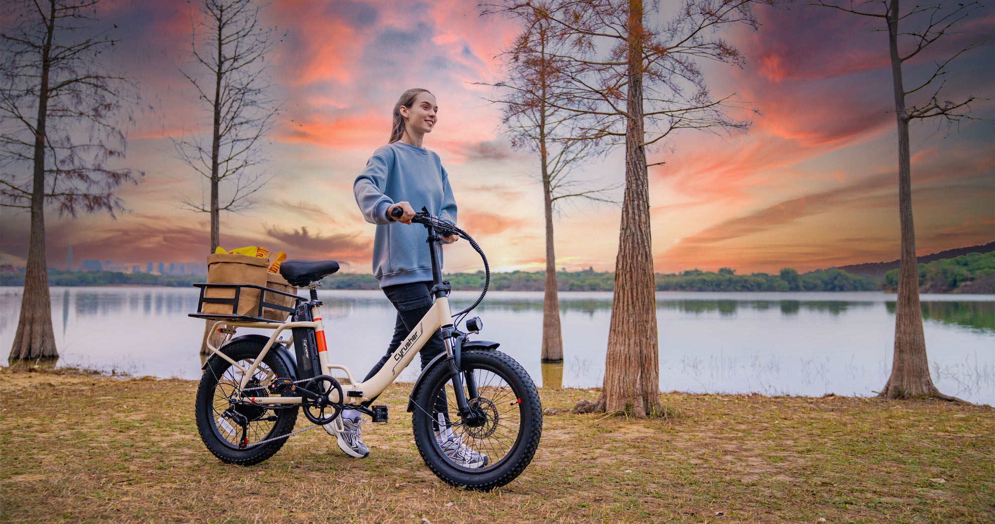 Bicicleta eléctrica