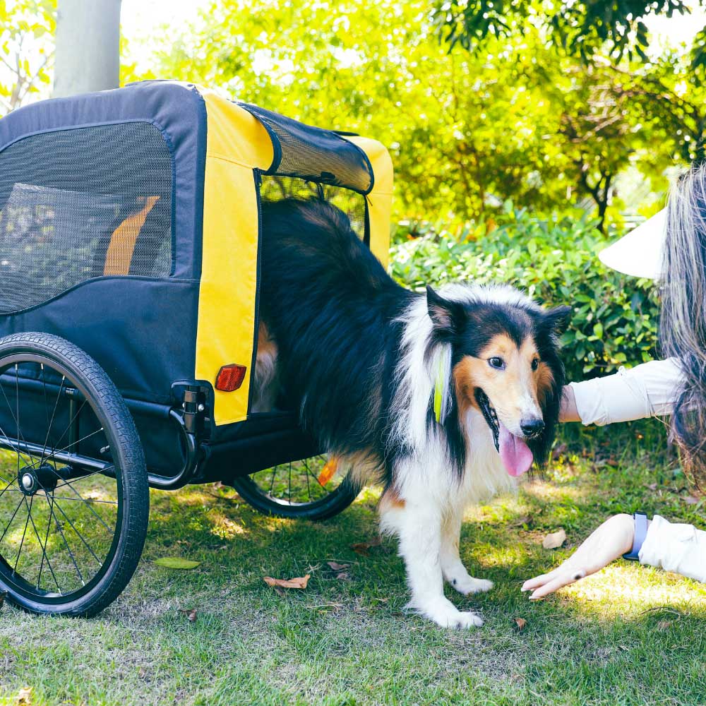 Remolque de bicicleta para mascotas