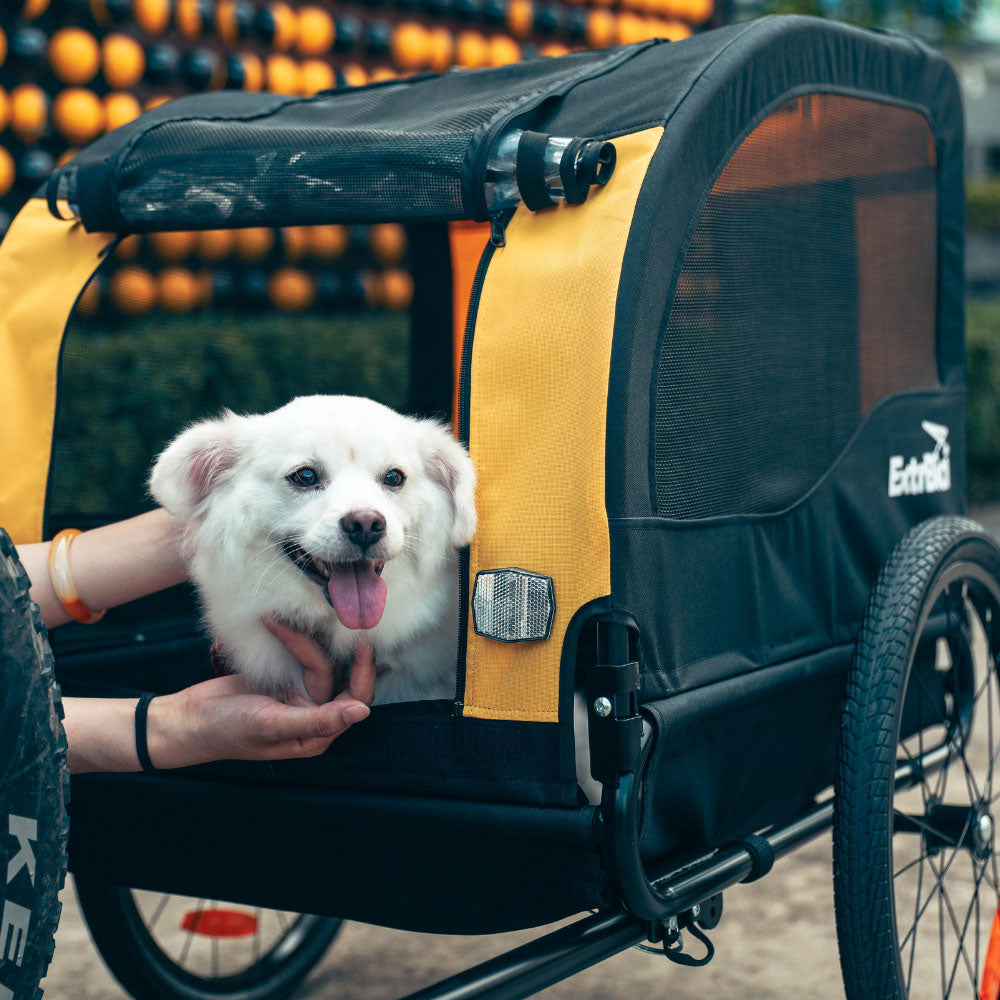Remolque de bicicleta para mascotas