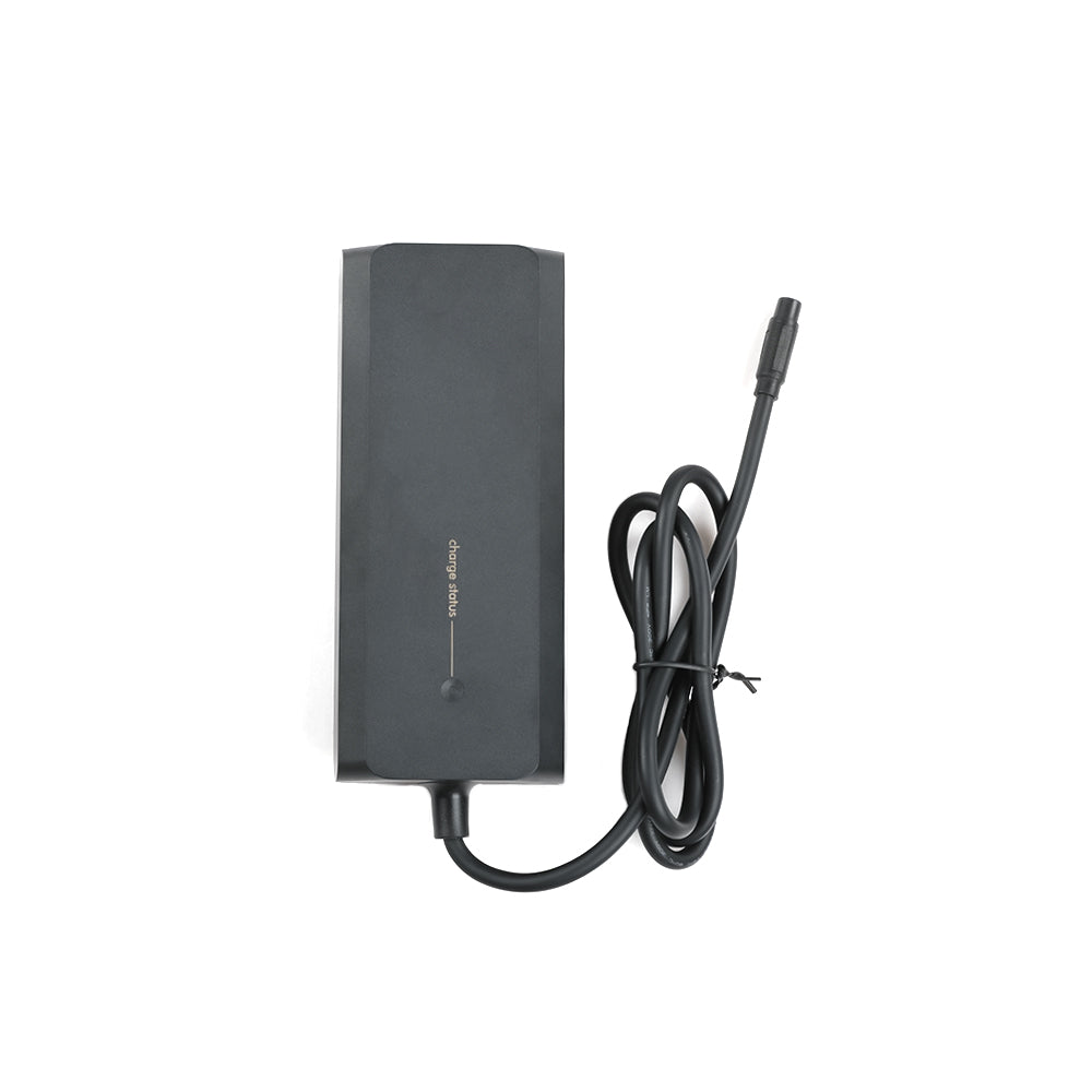 Cargador De Batería De Litio Para Bicicleta Eléctrica Cyrusher 4.0 Fat Tire