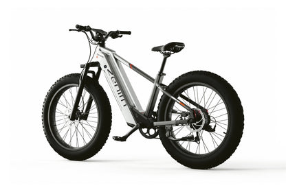 Zenith Fat Tire E-Bike