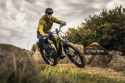 Roam Bicicleta Eléctrica de Paso Bajo con Suspensión Completa