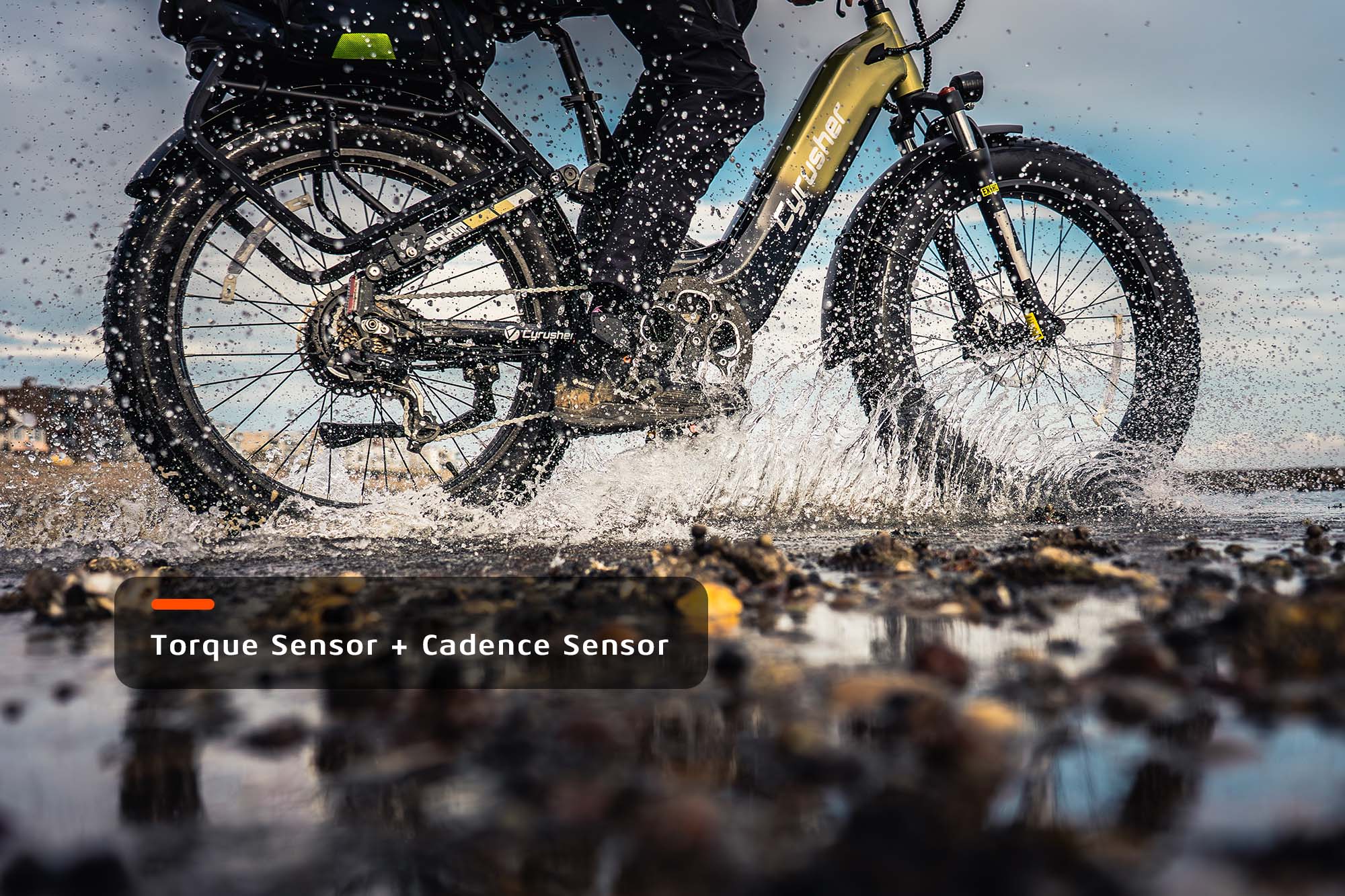 Roam Bicicleta Eléctrica de Paso Bajo con Suspensión Completa