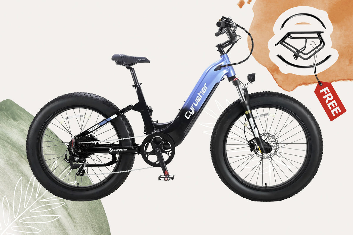 Roam + Free Fenders & Rear Rack