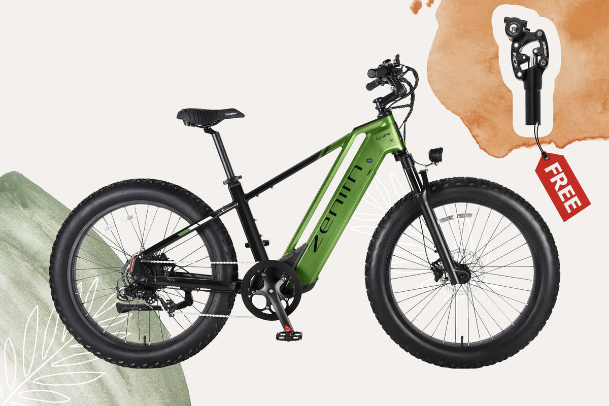 Zenith + Free Suspension Seatpost