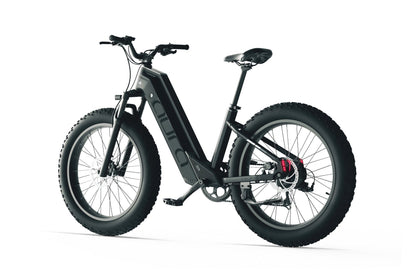 Bicicleta eléctrica Aura de paso bajo