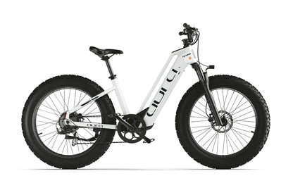 Bicicleta eléctrica Aura de paso bajo