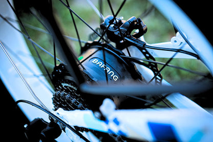 Cyrusher Kuattro, bicicleta de cuadro bajo